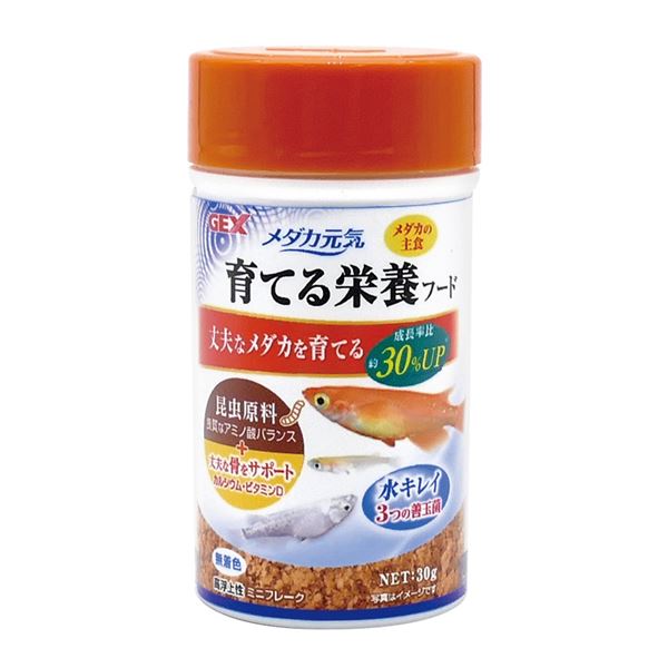 （まとめ）メダカ元気 育てる栄養フード 30g 熱帯魚用フード 【×10セット】