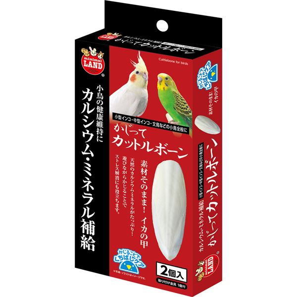 （まとめ）マルカン かじってカットルボーン 2個入 鳥エサ 【×10セット】