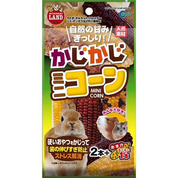 （まとめ）マルカン かじかじミニコーン 2本+おまけ1本 小動物用おやつ 【×5セット】