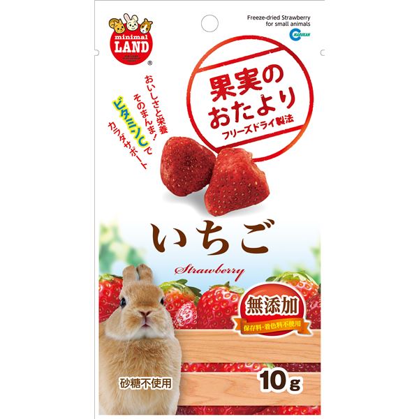 （まとめ）マルカン 果実のおたより いちご 10g 小動物用おやつ 【×5セット】