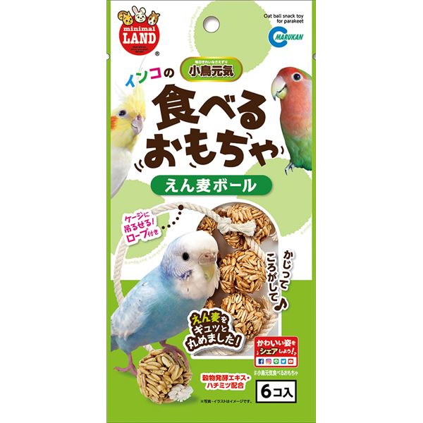 （まとめ）マルカン インコのえん麦ボール 6個 鳥エサ 【×5セット】