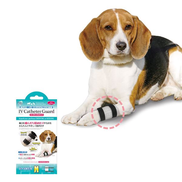 （まとめ） IV カテーテルガード M 【×2セット】