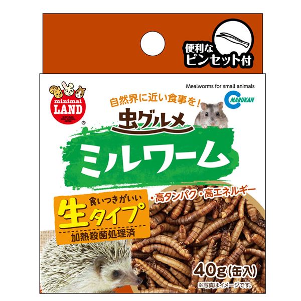 （まとめ） 虫グルメ ミルワーム 40g 【×5セット】【代引不可】