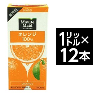 コカ・コーラ　（コカコーラ） ミニッツメイド オレンジ 100%　1L紙パック×12(6×2)本入 - 拡大画像