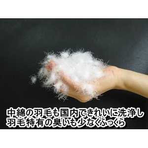 ダウン85%使用ふかふか羽毛枕 中サイズ 綿100% 日本製 商品写真5