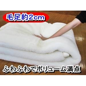 ボリューム抜群 ふわふわウール毛布 シングルアイボリー 日本製 商品写真3