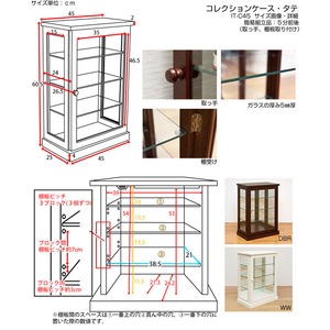 コレクションケース 【タテ型】 木製(天然木)/ガラス 幅45cm×奥行26.5cm ライトブラウン 商品写真4