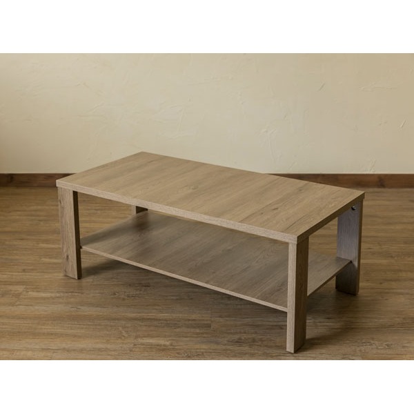 木目調センターテーブル/ローテーブル 【幅100cm×奥行50cm】 ライトブラウン 収納棚付き 『KENNY』【代引不可】