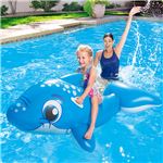 イルカ型 フロート/浮き輪 【縦約149cm×横約80cm×高さ約59cm】 ポリ塩化ビニル Dolphin Ride-on 〔プール ビーチ〕