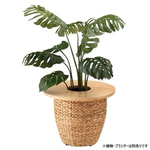 プランターテーブル 単品 円形 約幅50×奥行50×高さ1.8cm ナチュラル 木製 インテリア用品 園芸