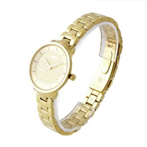 FURLA (フルラ) R4253102506 METROPOLIS (31mm) レディス腕時計 メトロポリス 商品写真2