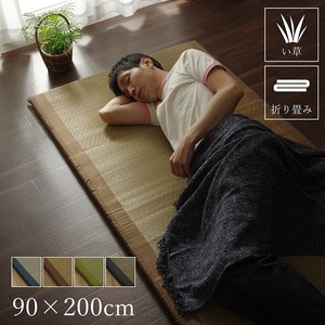 純国産/日本製 固わた40mm入りい草マット ブラウン 約90×200cm