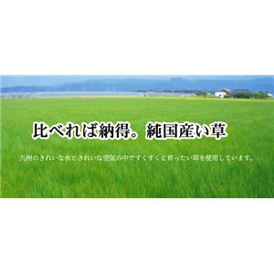 純国産 袋六重織 い草ラグカーペット 『立花錦』 約200×200cm 商品写真2
