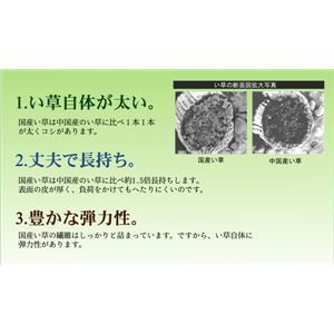 純国産 袋六重織 い草ラグカーペット 『立花錦』 約200×200cm 商品写真3