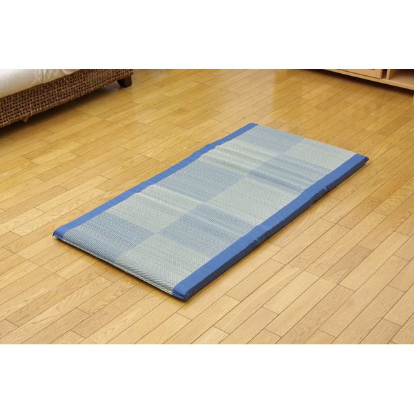 い草ごろ寝マット 『ノア 私の場所マット』 ブルー 70×150cm (中材:固わた40mm)