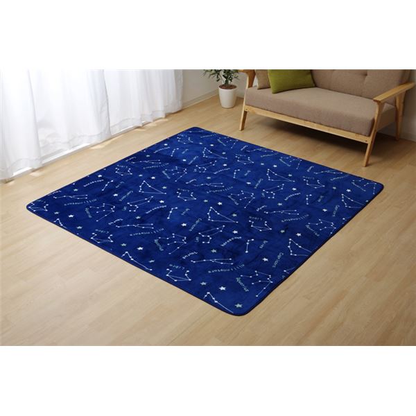 フランネル ラグマット/絨毯 【ネイビー 約200cm×250cm】 抗菌 防臭 洗える ホットカーペット対応 RUG【代引不可】