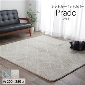 ラグマット/絨毯 【ベージュ 約200×250cm】 長方形 洗える 防滑加工 ホットカーペット対応 〔リビング〕