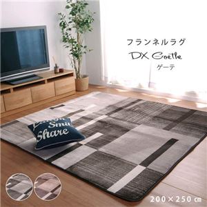 ラグマット/絨毯 【ブラウン 約200×250cm】 長方形 洗える キズ防止加工 ホットカーペット対応 〔リビング〕