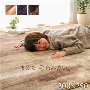 ふんわりタッチ ラグマット/絨毯 【ベージュ 無地調 約200×250cm】 洗える ホットカーペット 床暖房対応 〔リビング〕