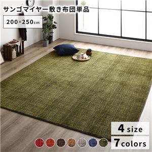 こたつ敷き布団/ラグマット 【約200×250cm グリーン】 防滑加工 ホットカーペット対応 マイクロファイバー サンゴマイヤー リビング