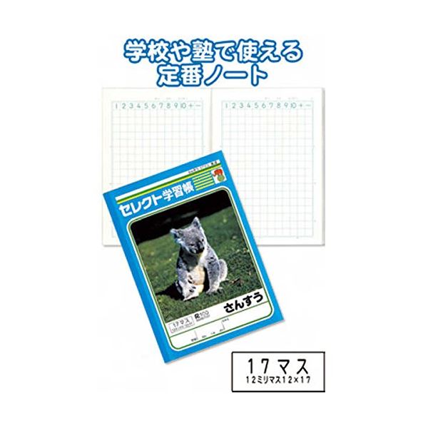 学習帳K-2さんすう17マス 【10個セット】 31-373