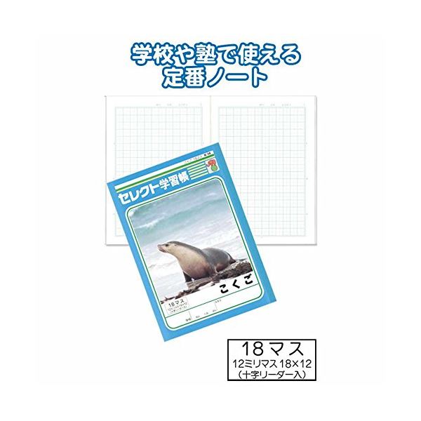 学習帳K-14こくご18マス十字リーダー入 【10個セット】 32-915