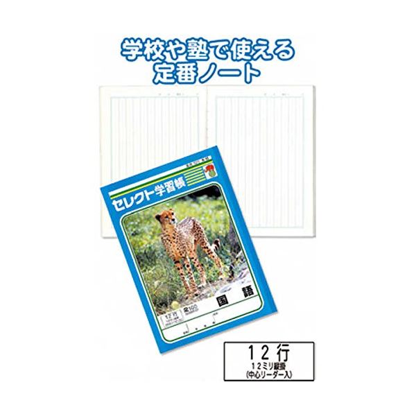 学習帳K-15国語 縦罫12行 【10個セット】 31-378