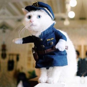 ペット ポリスマン コスチューム 子猫用 PetsLove Pet Policeman Costume　X0013RYXOJ-S  商品写真2