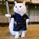 ペット ポリスマン コスチューム 子猫用 PetsLove Pet Policeman Costume　X0013RYXOJ-S  - 縮小画像3