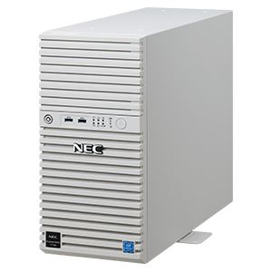 Express5800/T110j（2C/G5400/8G/2HD） Pentium SATA1TB*2/RAID1 W2019