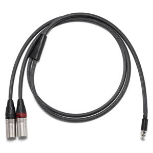 Astell＆Kern PEE41 5pin mini XLR to 3pin XLR