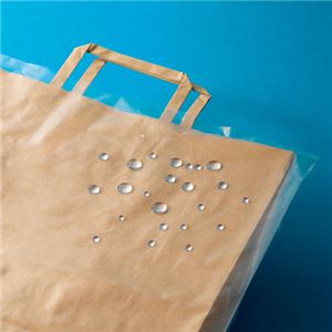 (まとめ) TANOSEE 紙袋を雨から守るポリカバー M ヨコ400×タテ570×奥行150mm 1パック(50枚) 【×5セット】 商品写真2