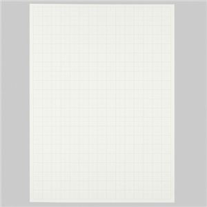 （まとめ） TANOSEE 模造紙（プルタイプ） 本体 765×1085mm 無地 ホワイト 1ケース（20枚） 【×5セット】