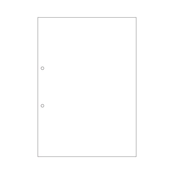 (まとめ) ヒサゴ マルチプリンター帳票(FSC森林認証紙) A4 白紙 2穴 FSC2001 1セット(500枚：100枚×5冊) 【×2セット】