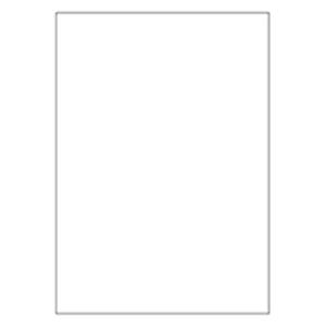 ヒサゴ マルチプリンター帳票 複写タイプ A4 ノーカーボン 白紙 BPC2000 1冊(100枚) 商品写真