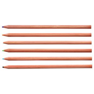 (まとめ) TANOSEE 色鉛筆 12色(各色1本) 1セット 【×10セット】 商品写真2