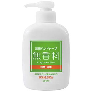 (まとめ) 第一石鹸 薬用ハンドソープ 無香料 本体 250ml 1本 【×20セット】 商品写真
