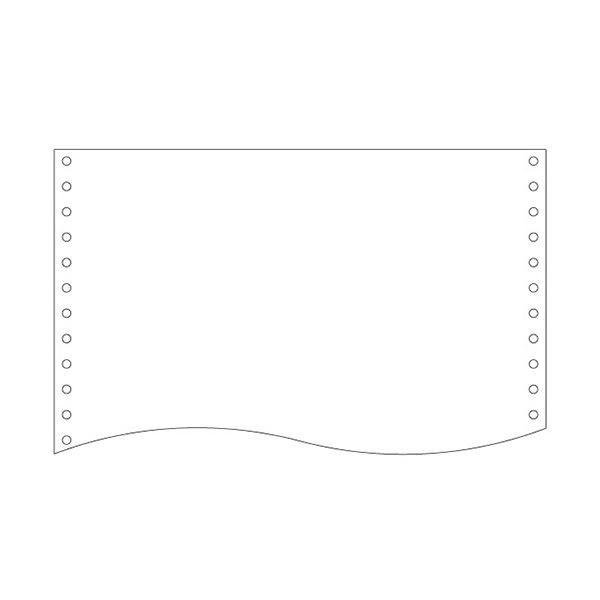 （まとめ）トッパンフォームズ NIPフォーム15×11インチ 1P 白紙 縦ミシン無 1510D1 1箱(2000枚) 【×2セット】