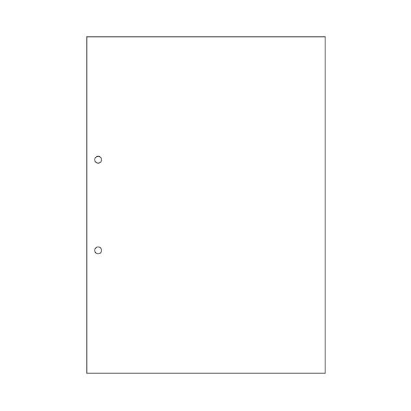 TANOSEEマルチプリンタ帳票(FSC森林認証紙) A4白紙 2穴 1セット(1000枚:500枚×2箱)