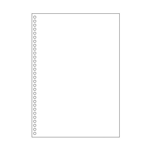 TANOSEEマルチプリンタ帳票(FSC森林認証紙) A4白紙 30穴 1セット(1000枚:500枚×2箱)