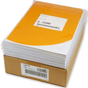 東洋印刷 ナナワード シートカットラベルマルチタイプ A4 12面 86.4×46.6mm 四辺余白付 LDW12PB1セット(2500シート:500シート×5箱)