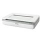 エプソン フラットベッドスキャナー A3600dpi DS-50000 1台 - 縮小画像1