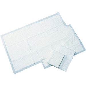 橋本クロス 吸水パッド600×900mm HL-01 1箱(50枚)