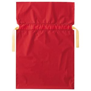 （まとめ）店研創意 ストア・エキスプレス梨地リボン付ギフトバッグ レッド 24cm 1パック（20枚）【×5セット】