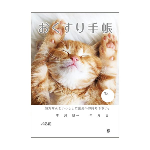 （まとめ）どうぶつ見つけた！おくすり手帳 16ページ ねこ 1パック（100冊） 【×3セット】