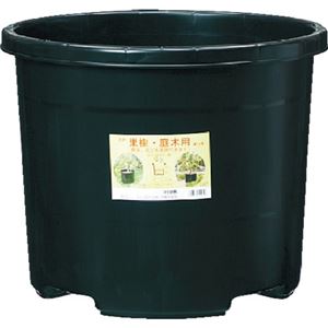 (まとめ) DICプラスチック NPポット #60(60L) 黒 NPP-60-BK 1個 【×3セット】