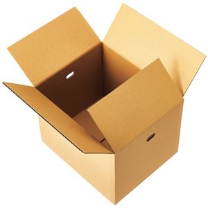 TANOSEE 保存・保管用ダンボール B5・A4対応 334×294×275mm 1パック(10枚)