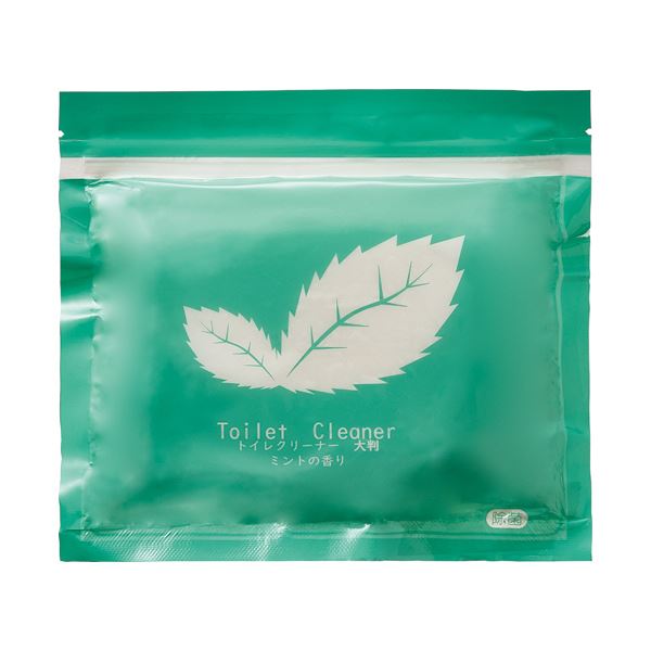 （まとめ） TANOSEEトイレクリーナー チャック袋タイプ ミント 大判 1パック（12枚） 【×10セット】
