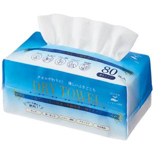 （まとめ） オーミケンシ使い捨てドライタオル 厚手 1パック（80枚） 【×5セット】
