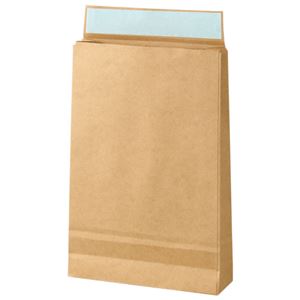 TANOSEE宅配袋 特小 茶 テープ付 1パック（100枚）